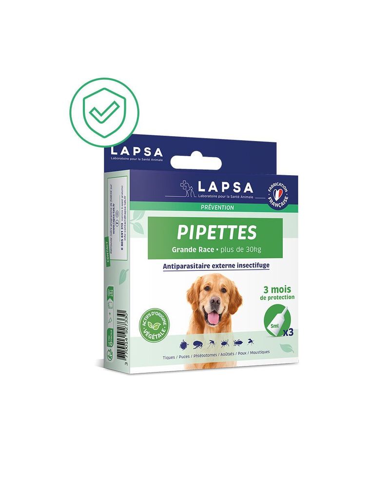 Pipettes - Grand Chien x3