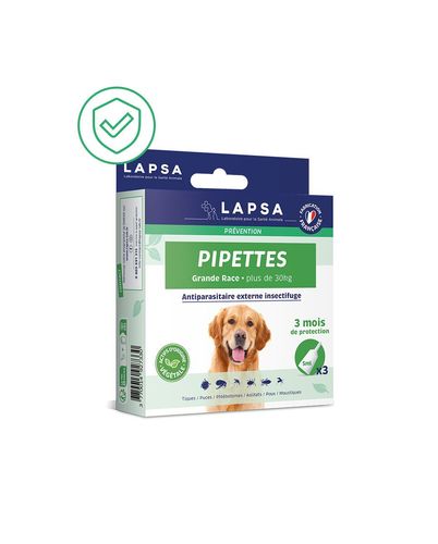 Pipettes - Grand Chien x3