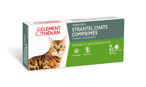 Strantel - Chat