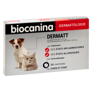 Dermatt