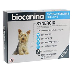 Synergix - Très Petit Chien